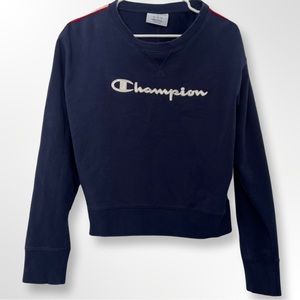 Blue Long Sleeve Stripe Chmapion Sweatshirt